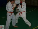 Sensei Gyarmati Imre kesztyűs tréninget vezetett a Seishin Dojóban