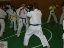 Sensei Gyarmati Imre kesztyűs tréninget vezetett a Seishin Dojóban