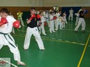 Sensei Gyarmati Imre kesztyűs tréninget vezetett a Seishin Dojóban