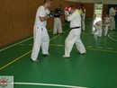 Sensei Gyarmati Imre kesztyűs tréninget vezetett a Seishin Dojóban