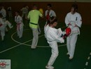 Sensei Gyarmati Imre kesztyűs tréninget vezetett a Seishin Dojóban
