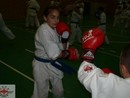 Sensei Gyarmati Imre kesztyűs tréninget vezetett a Seishin Dojóban