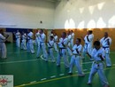 Sensei Gyarmati Imre tréninget vezetett a Seishin Dojóban