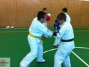 Sensei Gyarmati Imre tréninget vezetett a Seishin Dojóban