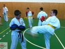 Sensei Gyarmati Imre tréninget vezetett a Seishin Dojóban