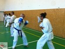 Sensei Gyarmati Imre tréninget vezetett a Seishin Dojóban