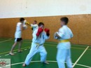 Sensei Gyarmati Imre tréninget vezetett a Seishin Dojóban