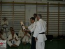 Hiko-Ryu demonstráció a Seishin Dojóban