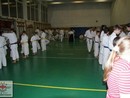 Hiko-Ryu demonstráció a Seishin Dojóban