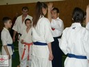Hiko-Ryu demonstráció a Seishin Dojóban