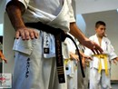 Hiko-Ryu Taijutsu megnyitó és edzőtábor