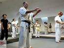 Hiko-Ryu Taijutsu megnyitó és edzőtábor