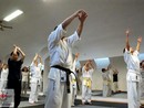 Hiko-Ryu Taijutsu megnyitó és edzőtábor