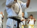Hiko-Ryu Taijutsu megnyitó és edzőtábor