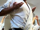 Hiko-Ryu Taijutsu megnyitó és edzőtábor