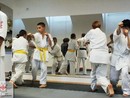 Hiko-Ryu Taijutsu megnyitó és edzőtábor