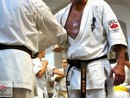 Hiko-Ryu Taijutsu megnyitó és edzőtábor