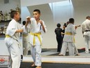 Hiko-Ryu Taijutsu megnyitó és edzőtábor
