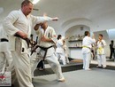 Hiko-Ryu Taijutsu megnyitó és edzőtábor