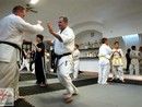 Hiko-Ryu Taijutsu megnyitó és edzőtábor