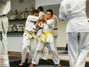 Hiko-Ryu Taijutsu megnyitó és edzőtábor