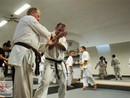 Hiko-Ryu Taijutsu megnyitó és edzőtábor