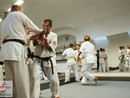 Hiko-Ryu Taijutsu megnyitó és edzőtábor