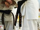 Hiko-Ryu Taijutsu megnyitó és edzőtábor