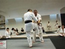 Hiko-Ryu Taijutsu megnyitó és edzőtábor