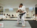 Hiko-Ryu Taijutsu megnyitó és edzőtábor