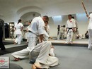 Hiko-Ryu Taijutsu megnyitó és edzőtábor
