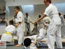 Hiko-Ryu Taijutsu megnyitó és edzőtábor