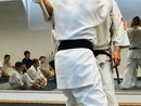 Hiko-Ryu Taijutsu megnyitó és edzőtábor