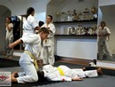 Hiko-Ryu Taijutsu megnyitó és edzőtábor