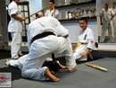 Hiko-Ryu Taijutsu megnyitó és edzőtábor