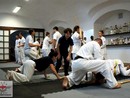 Hiko-Ryu Taijutsu megnyitó és edzőtábor