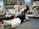 Hiko-Ryu Taijutsu megnyitó és edzőtábor