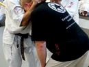 Hiko-Ryu Taijutsu megnyitó és edzőtábor