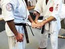 Hiko-Ryu Taijutsu megnyitó és edzőtábor