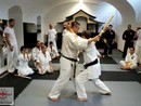 Hiko-Ryu Taijutsu megnyitó és edzőtábor
