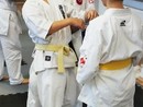 Hiko-Ryu Taijutsu megnyitó és edzőtábor