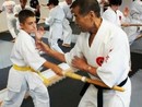 Hiko-Ryu Taijutsu megnyitó és edzőtábor