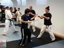 Hiko-Ryu Taijutsu megnyitó és edzőtábor
