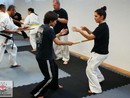 Hiko-Ryu Taijutsu megnyitó és edzőtábor