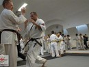 Hiko-Ryu Taijutsu megnyitó és edzőtábor