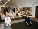 Hiko Ryu Taijutsu Szeminárium