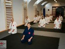 Hiko Ryu Taijutsu Szeminárium