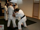 Hiko Ryu Taijutsu Szeminárium