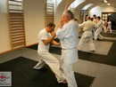 Hiko Ryu Taijutsu Szeminárium
