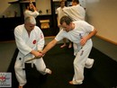 Hiko Ryu Taijutsu Szeminárium